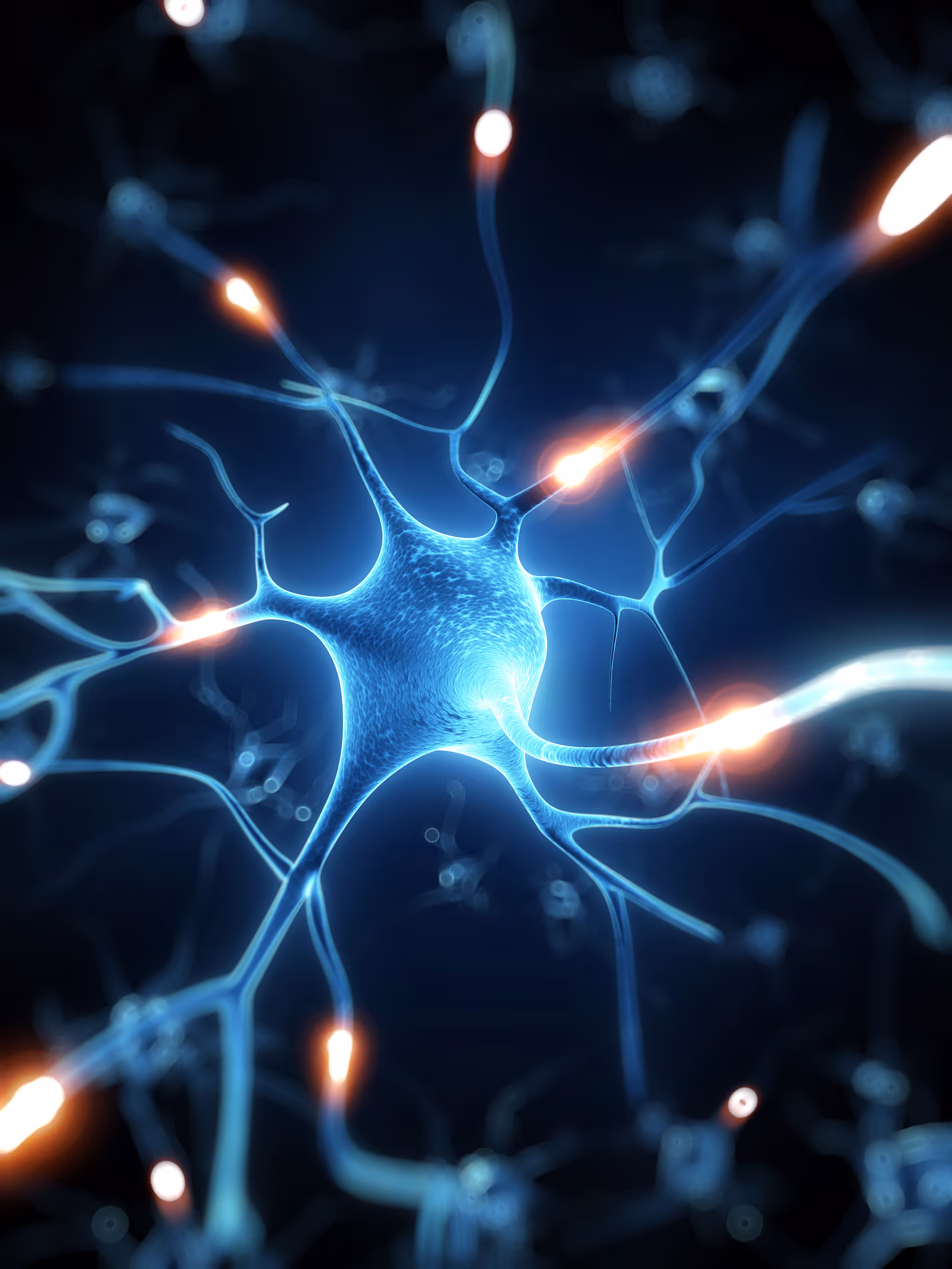 Artificial Inteligence